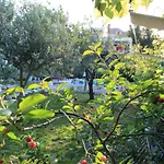 Maria 斯普利特